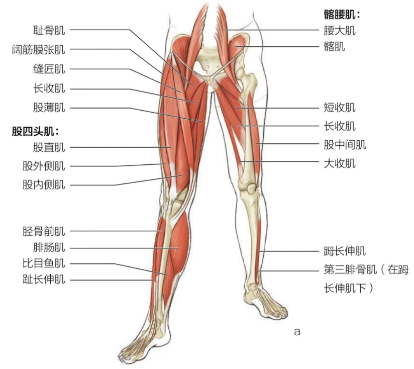 儿童篮球基本功训练内容包括_1